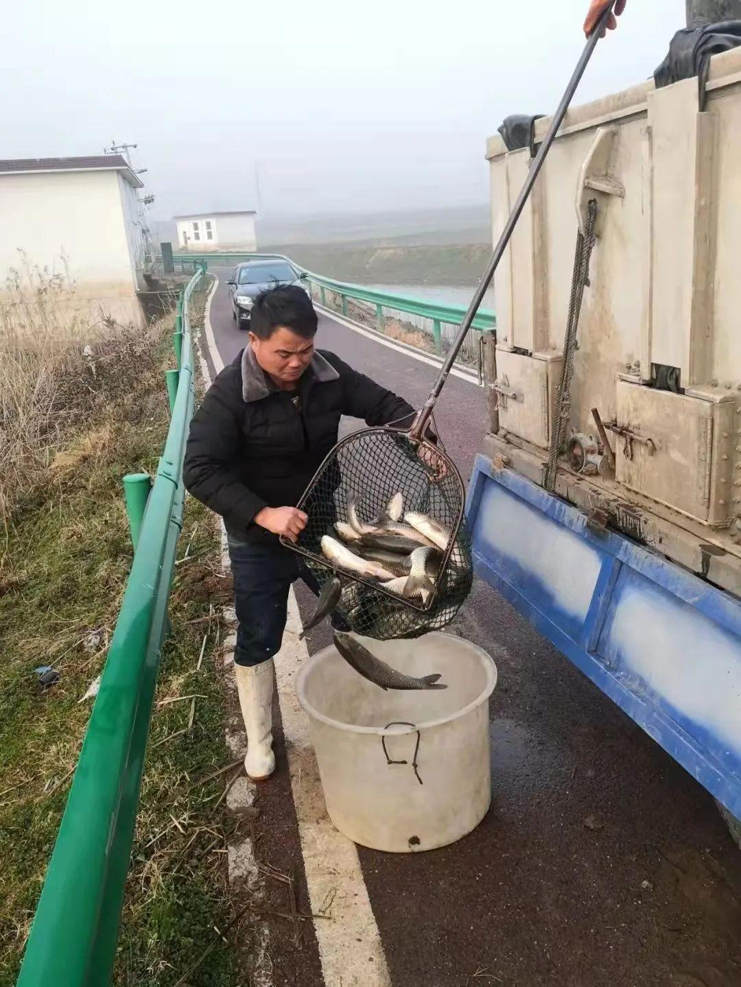 揭秘2019拆迁补偿鱼塘，政策解读与实际操作指南