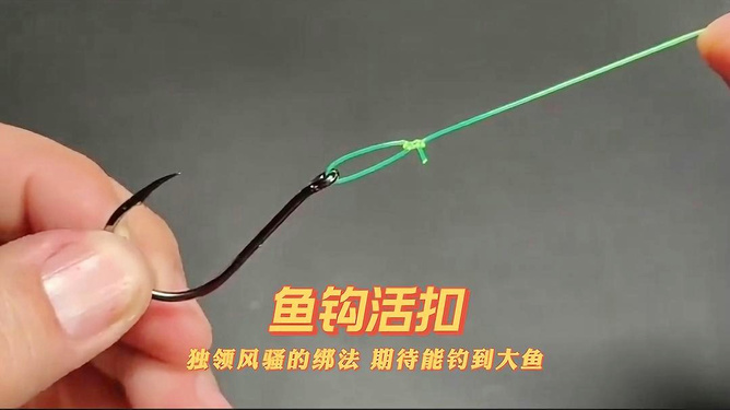 钓大鱼绑钩方法视频全解析，一步步教你成为钓鱼高手