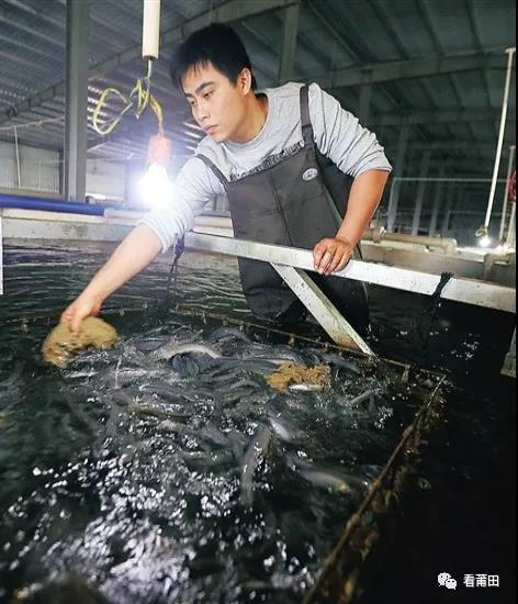 揭秘非法捕捞水中软黄金背后的故事，四人当场被抓