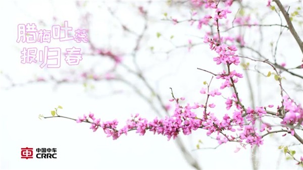 接下来的人间四月天，希望与重生的篇章