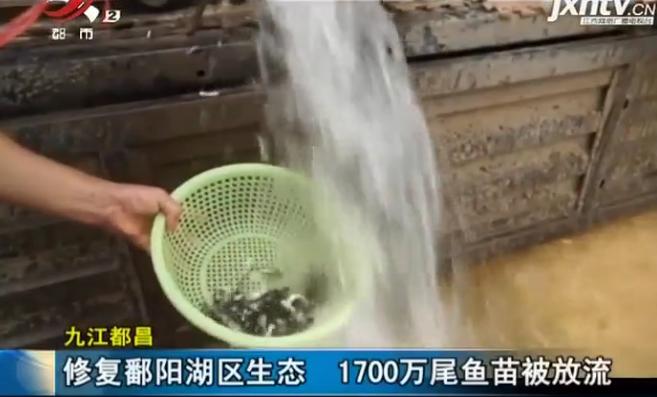 鄱阳湖涨水了吗？让我们深入了解