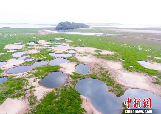 鄱阳湖退化现象及其影响