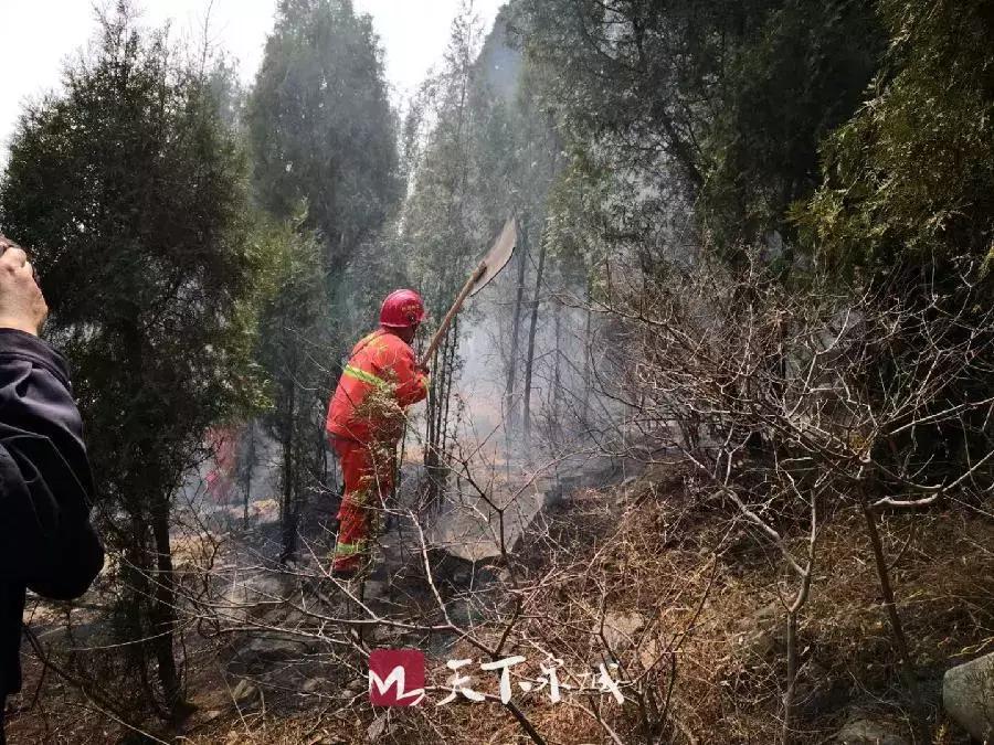 烧纸引燃九车事件揭秘，涉案者被刑拘
