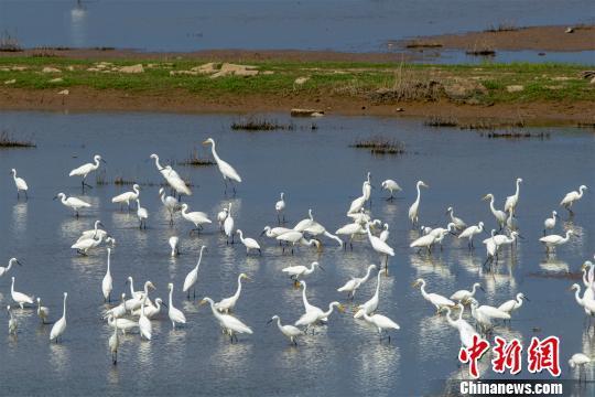 江西鄱阳湖水位今天退了吗？一探究竟