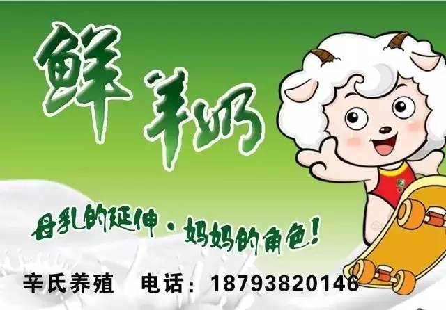 跑腿平台推出清明时代豪华扫墓服务，价值4999元的情感传递之旅