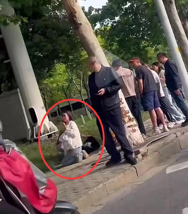 母亲车祸离世