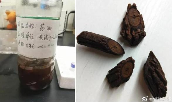 一家六口误用断肠草煲汤中毒事件深度解析