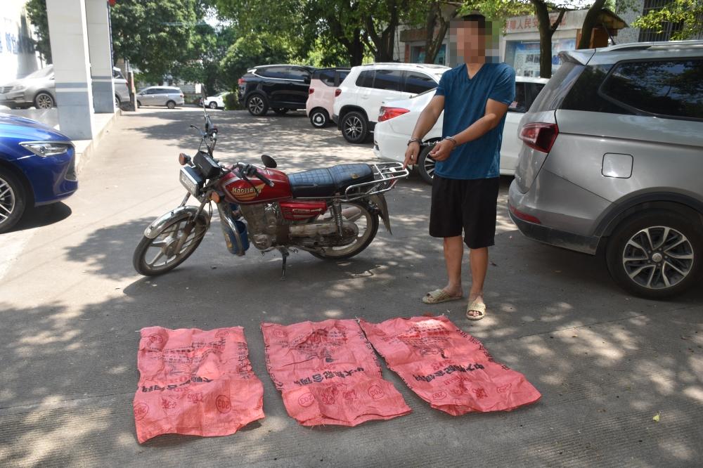 偷警察摩托车，一场荒诞而危险的闹剧