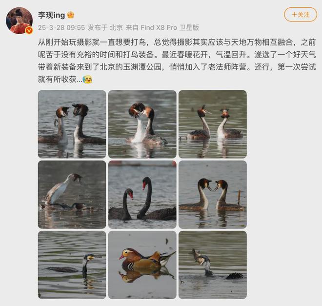 李现打鸟获生态环境部认可，绿色行动引领潮流