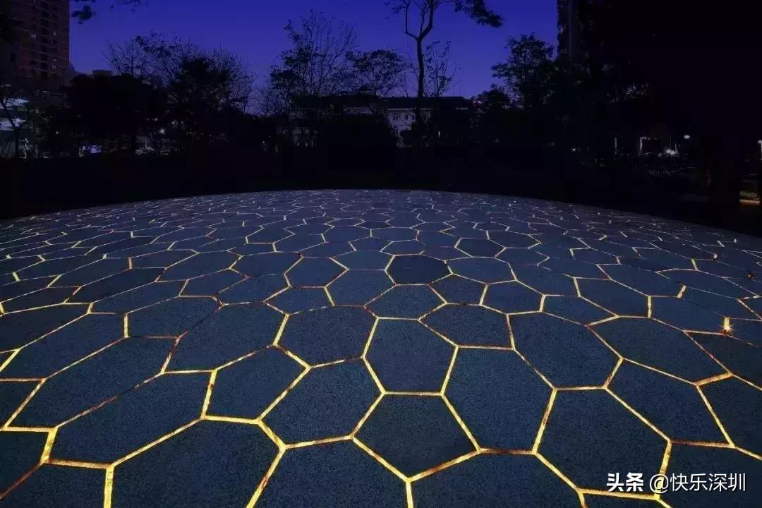 关于4.20深圳地铁踩踏事件的深度分析