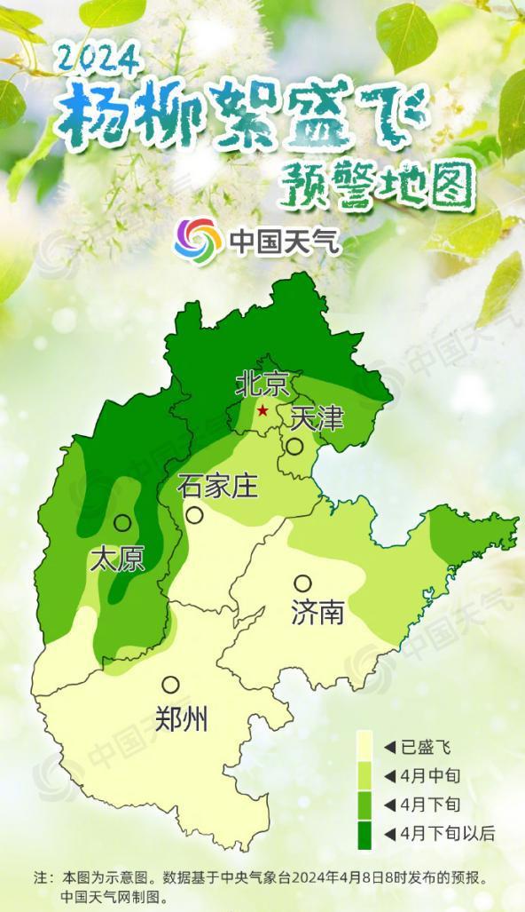 杭州发飞絮指数预报，让你远离絮扰