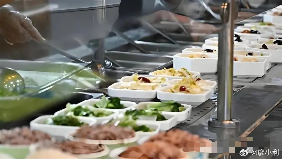 揭秘420万食材费被贪占事件，深度剖析与反思