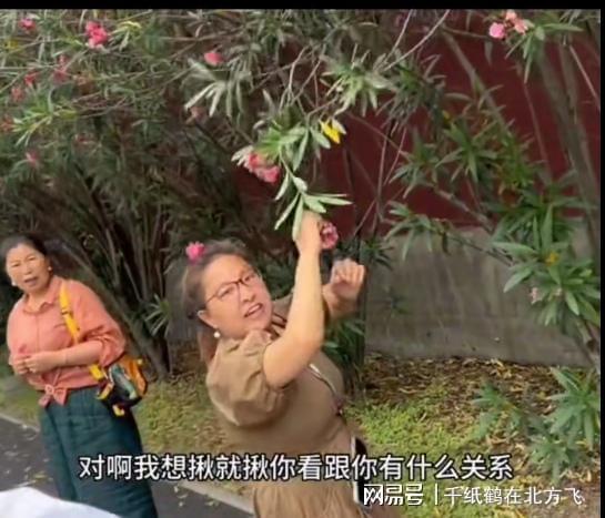 河南女子吃楮不揪险窒息，紧急救援下的生命故事