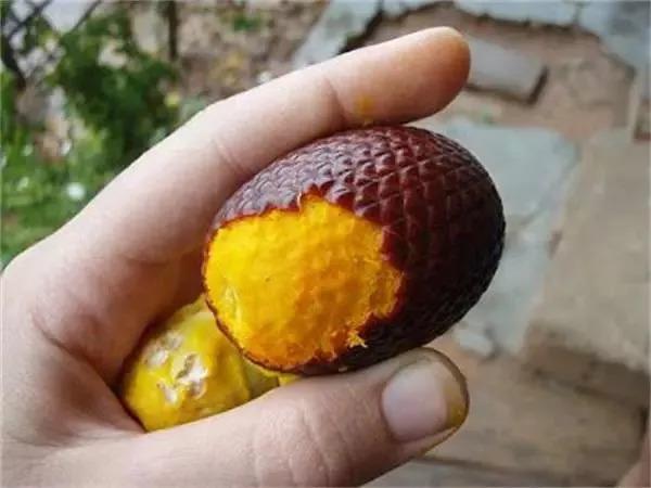 水果贵族集体大降价，享受新鲜美味不再奢侈！