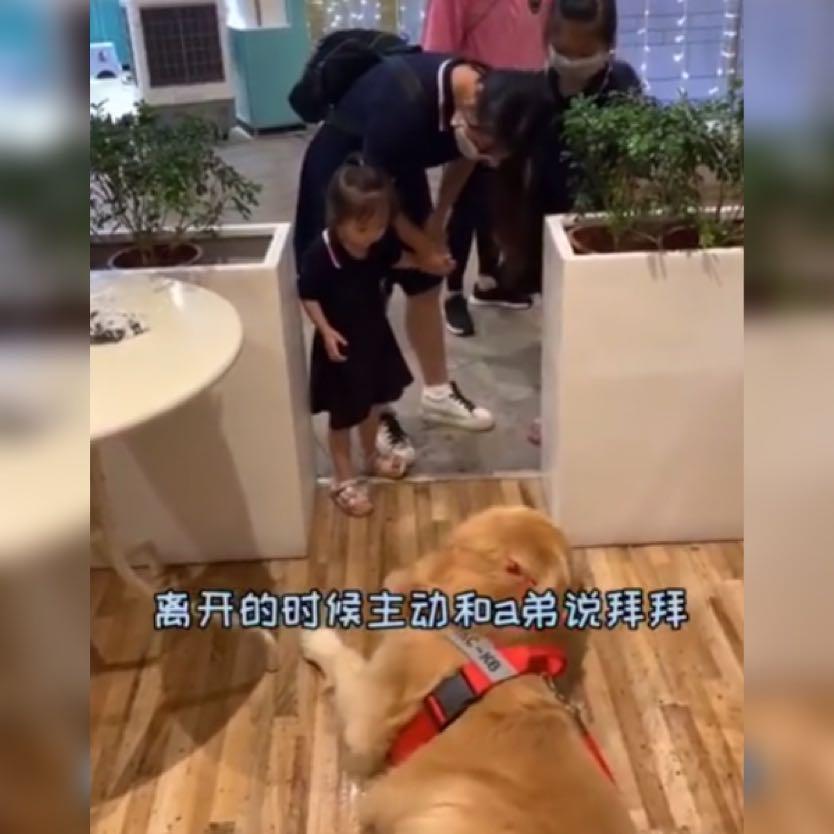 这风真懂事，一点也不耽误周一上班——一种全新的工作体验