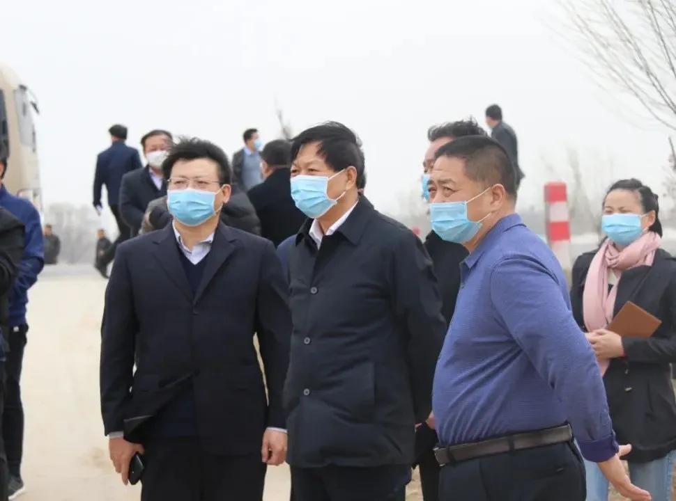 河北一道路现方形绿化树，当地回应引发热议