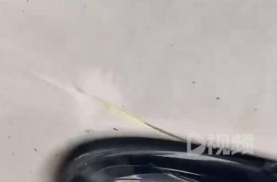 车辆被风筝线切割，事故背后的安全警示