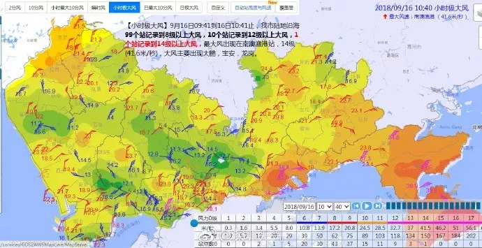 历史大风预警查询，追溯风云变幻的历程