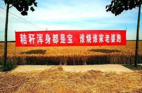 河南省刮大风，一场风云变幻的壮丽画卷