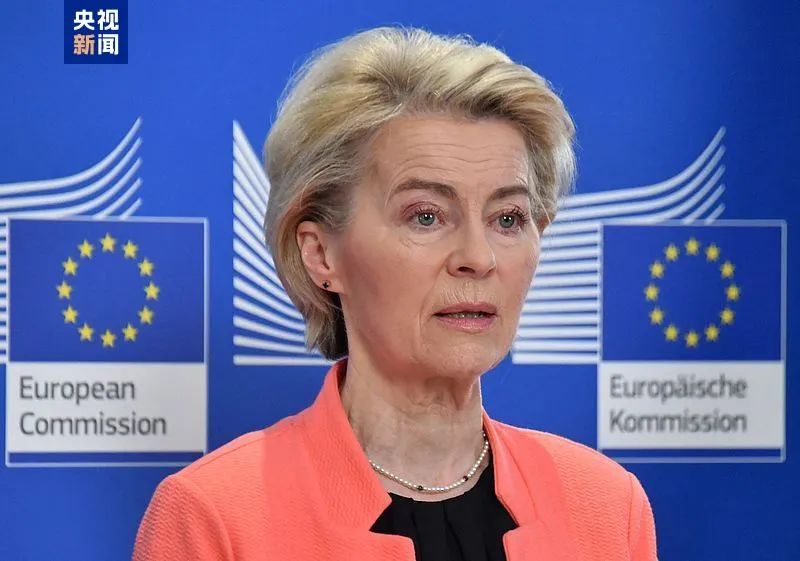 欧盟可能对美国科技巨头征税，冯德莱恩的表态引发全球热议
