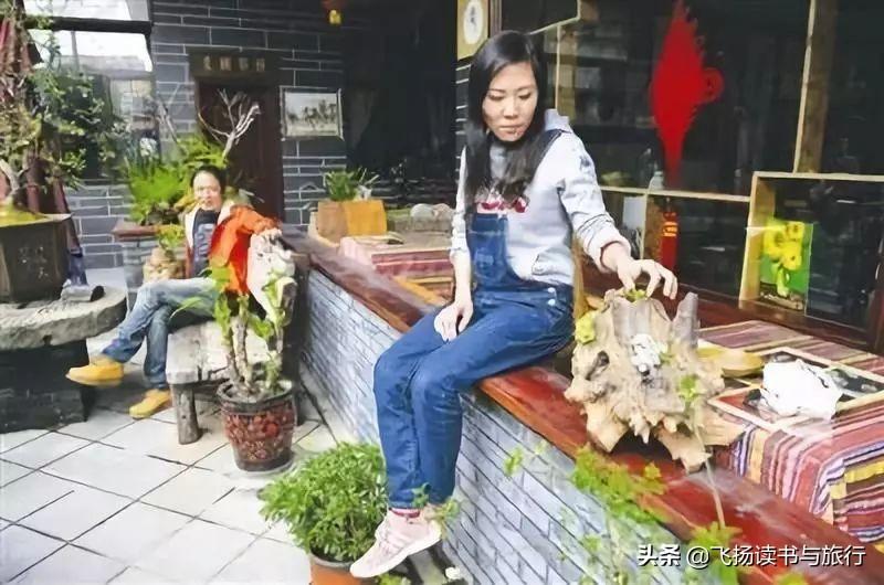 辞职看世界，当下教师的现状与反思