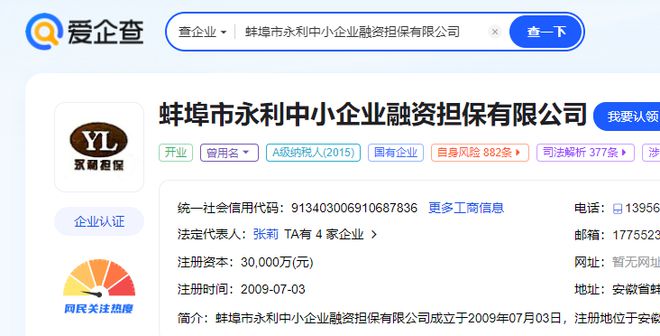 应收债权拍卖，解析其过程与影响