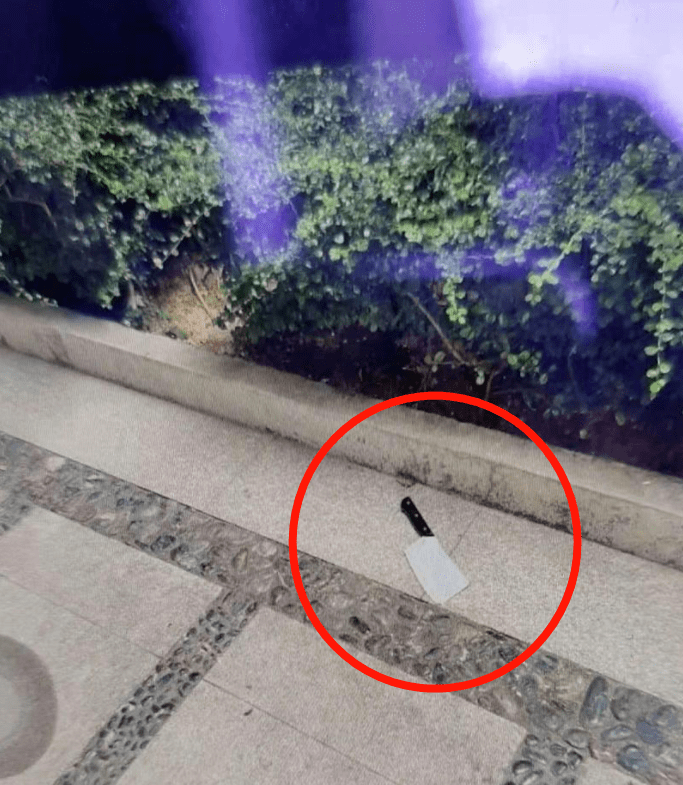 物业回应一女子被天降道闸砸中事件分析