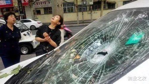 物业回应一女子被天降道闸砸中事件分析