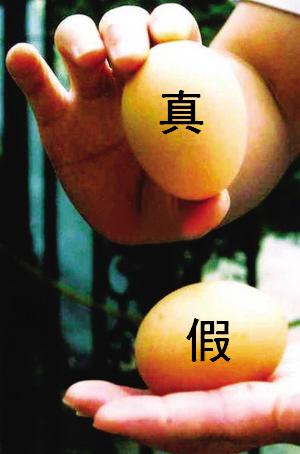 假鸡蛋事件真相揭秘，是谣言还是现实？