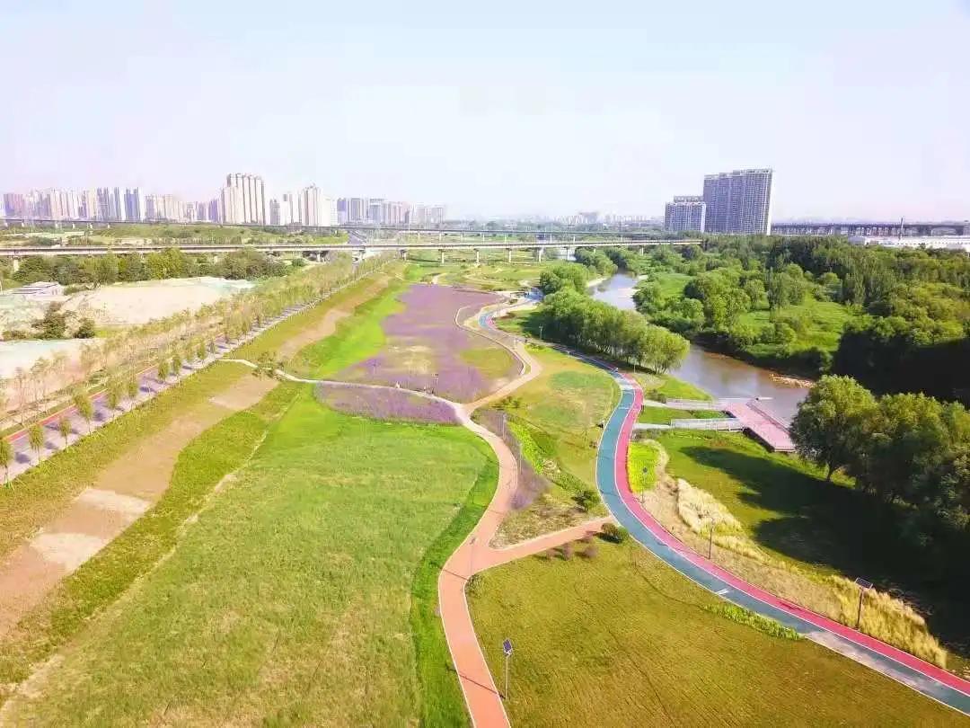 三河市园林绿化公司，打造绿色生态，引领城市新风尚