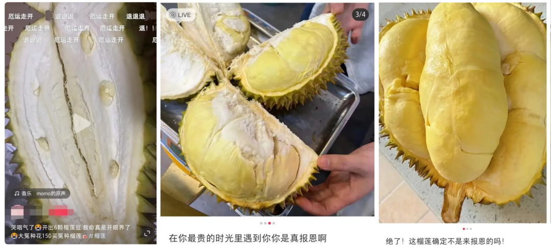 中国技术让马来西亚榴莲告别盲盒时代