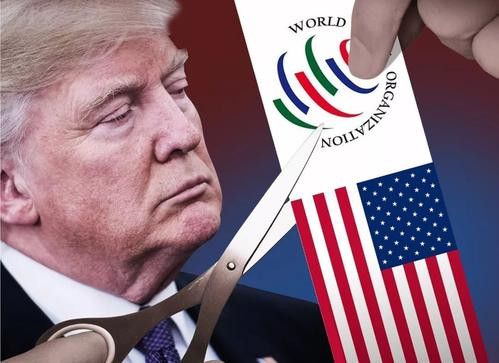 美国疑退出世贸组织，全球贸易体系的震荡与挑战