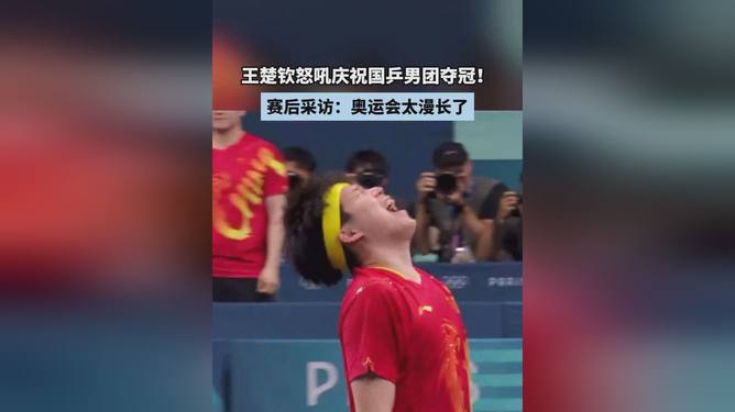 国乒男团夺冠后采访，荣耀背后的故事与坚持