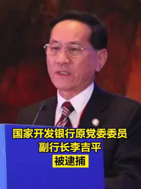 国开行原副行长李吉平获刑十四年的警示录