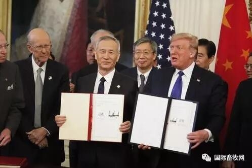 中美采购协议，贸易新篇章的解读