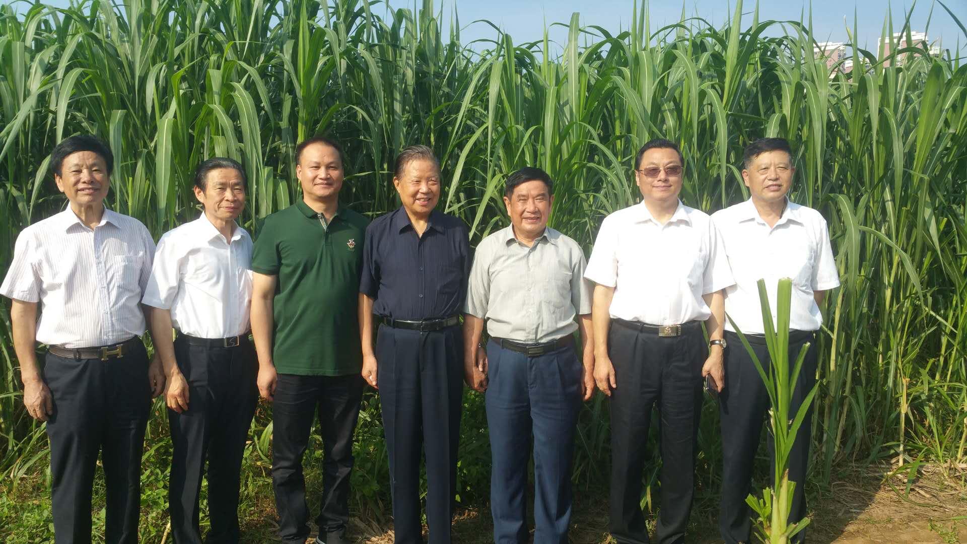 广西大部气象干旱已达特旱，挑战与应对策略