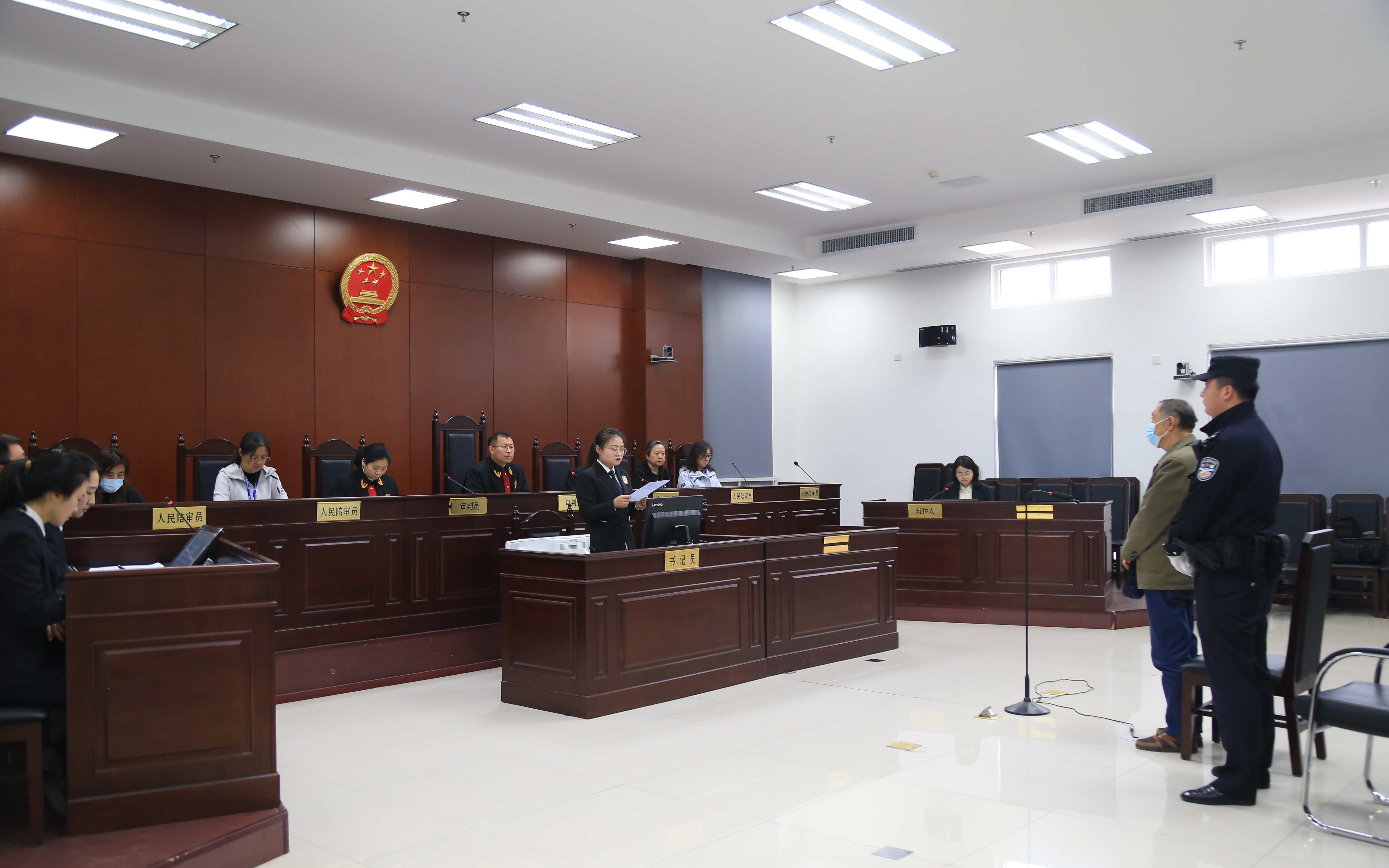 六旬老人捕鸟26只获刑七个月，法律与人性的思考