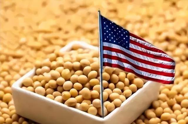 中国减少美国大豆进口的影响分析