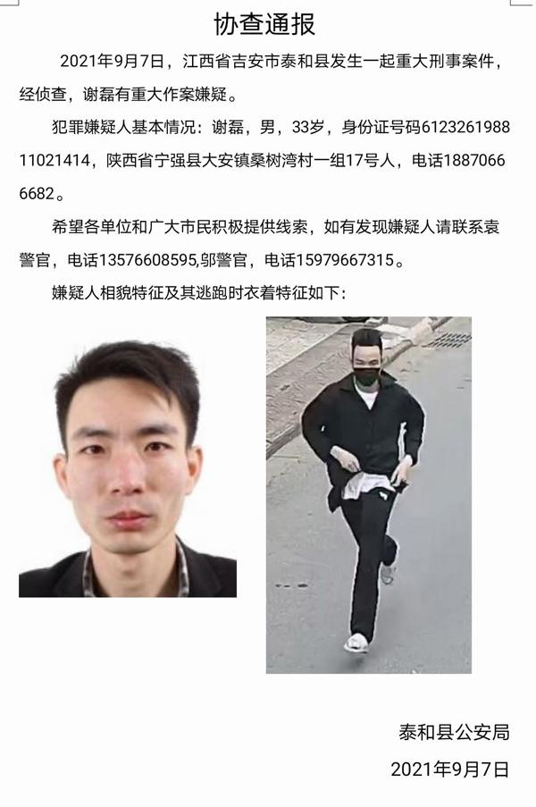 行李箱藏尸案受害者，深度解读背后的故事与影响