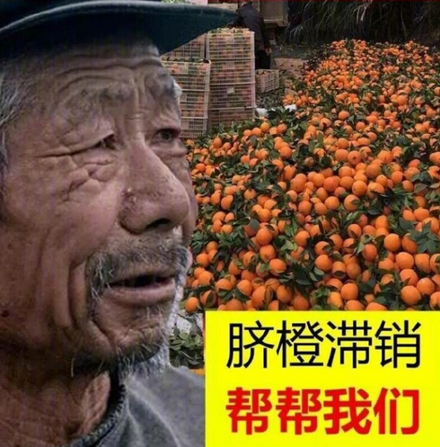 大爷坠坑88天，日本如何挽回颜面？