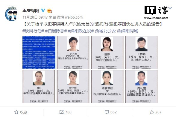 通缉令上高颜值女嫌犯仍在逃，深度解析与警示