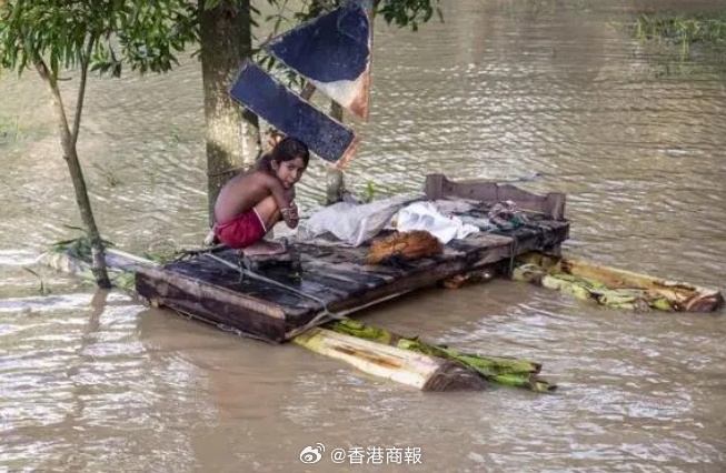 印度洪灾致53人丧生，灾难背后的故事与挑战