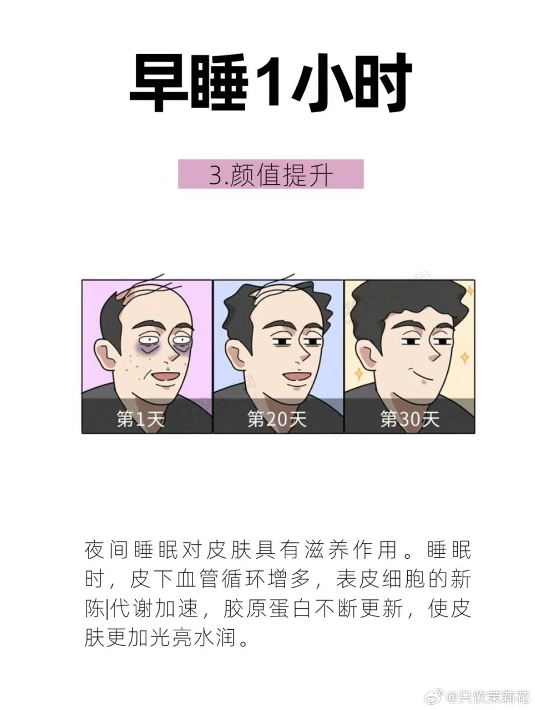 晚睡一小时，少活七天？关于作息规律的深度探讨