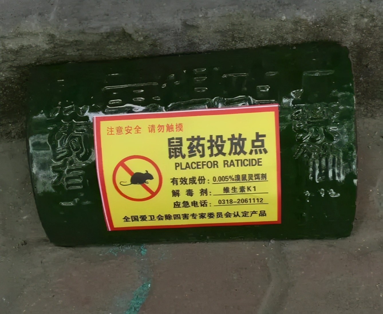 快递老鼠药是否属于违禁品？深度解读相关法规与常识