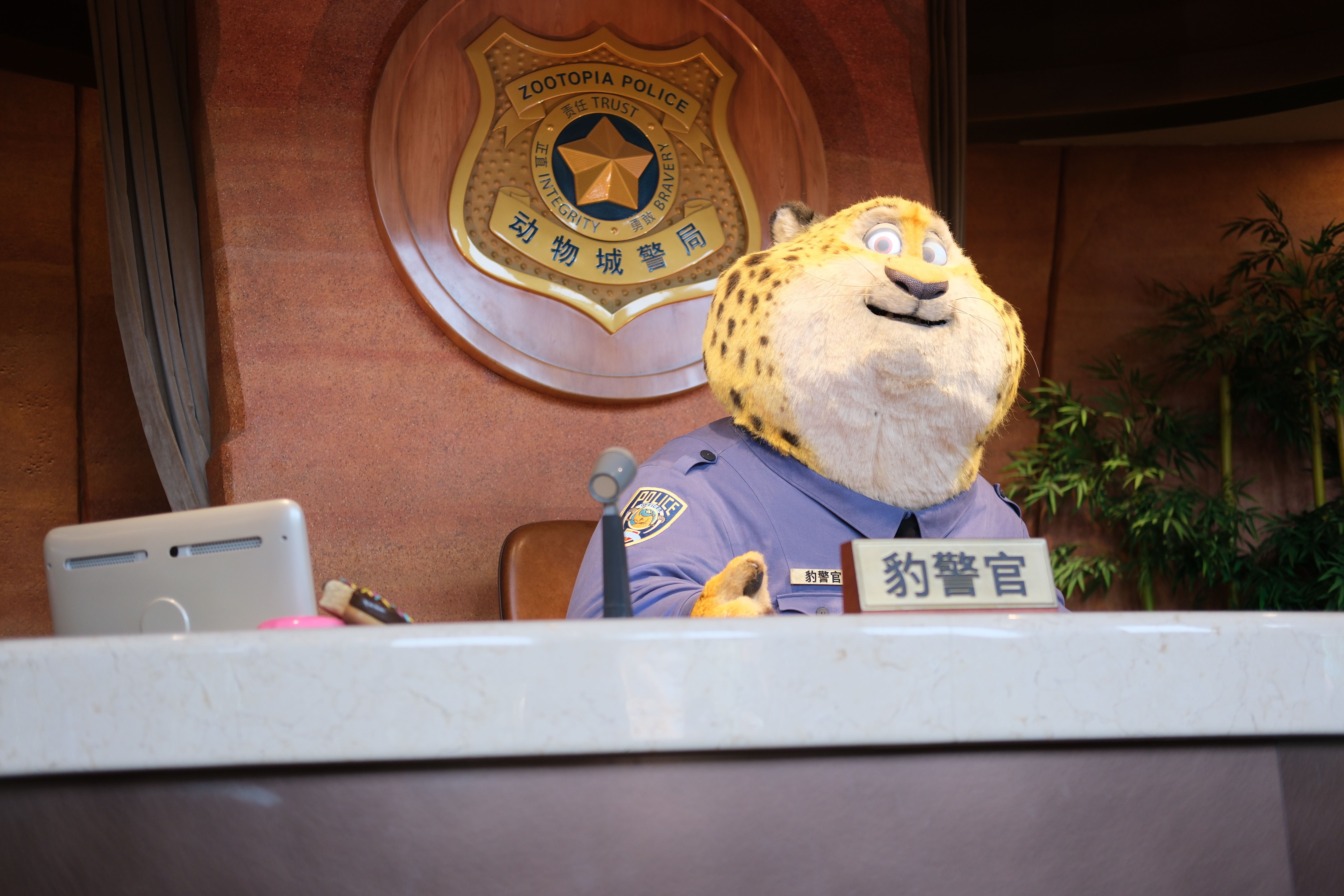 豹警官视频，正义与力量的网络展现