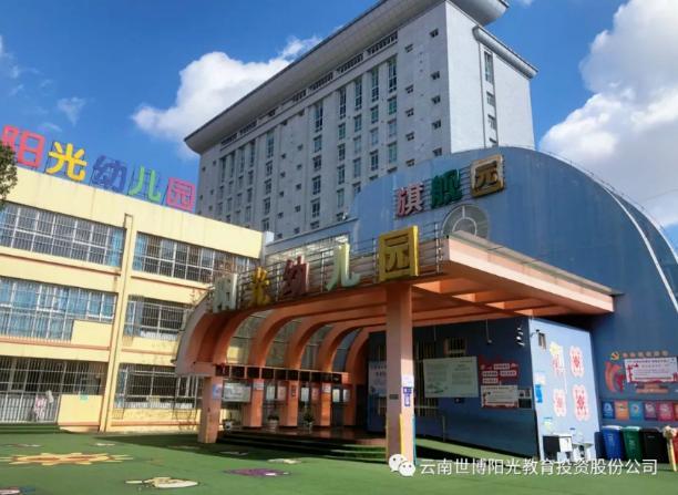 幼儿园成上市公司十大流通股东现象探析