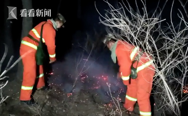 辽宁火灾排除人为放火可能，深度解析事故原因与应对之道