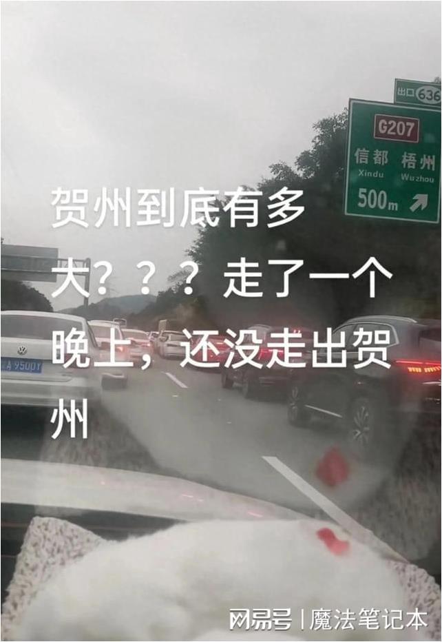五一路上全是聪明人
