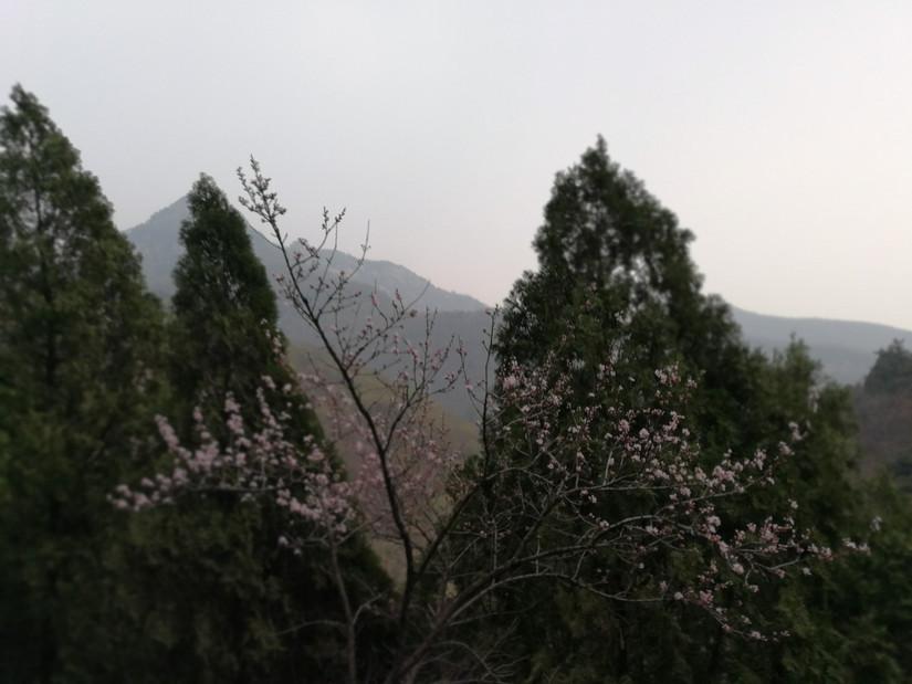 古人过假期如何发朋友圈——穿越时空的休闲雅趣