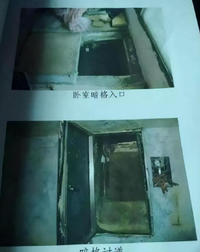 地下室囚禁两女7年，揭示背后的真相与人性的挣扎